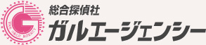 総合探偵社ガルエージェンシー